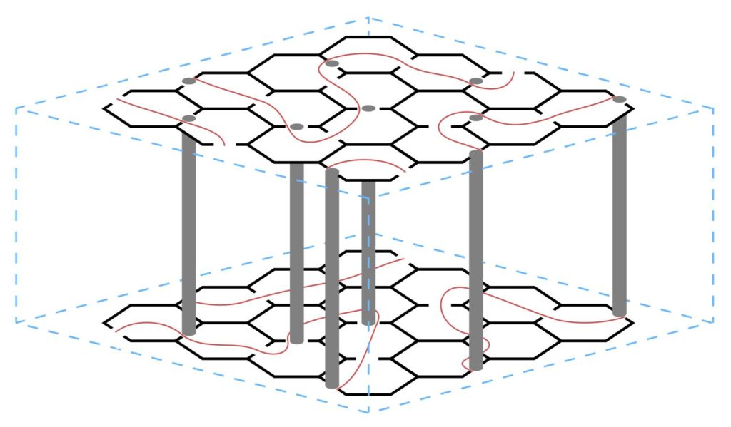 Babel Library 3 torus Edward Knight