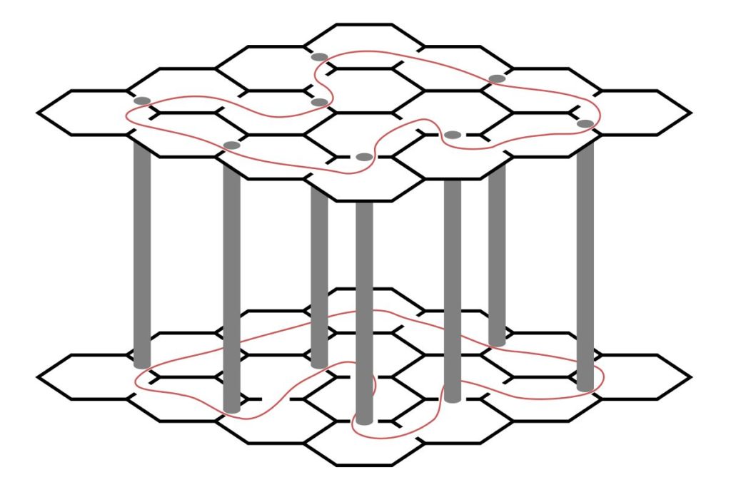 Babel Library hexagons Edward Knight